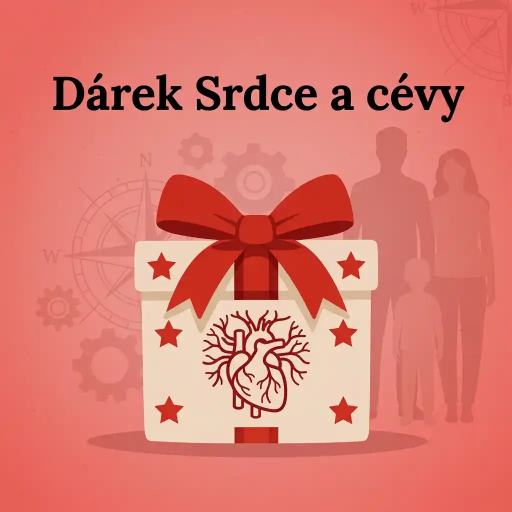 Dárek Srdce a cévy